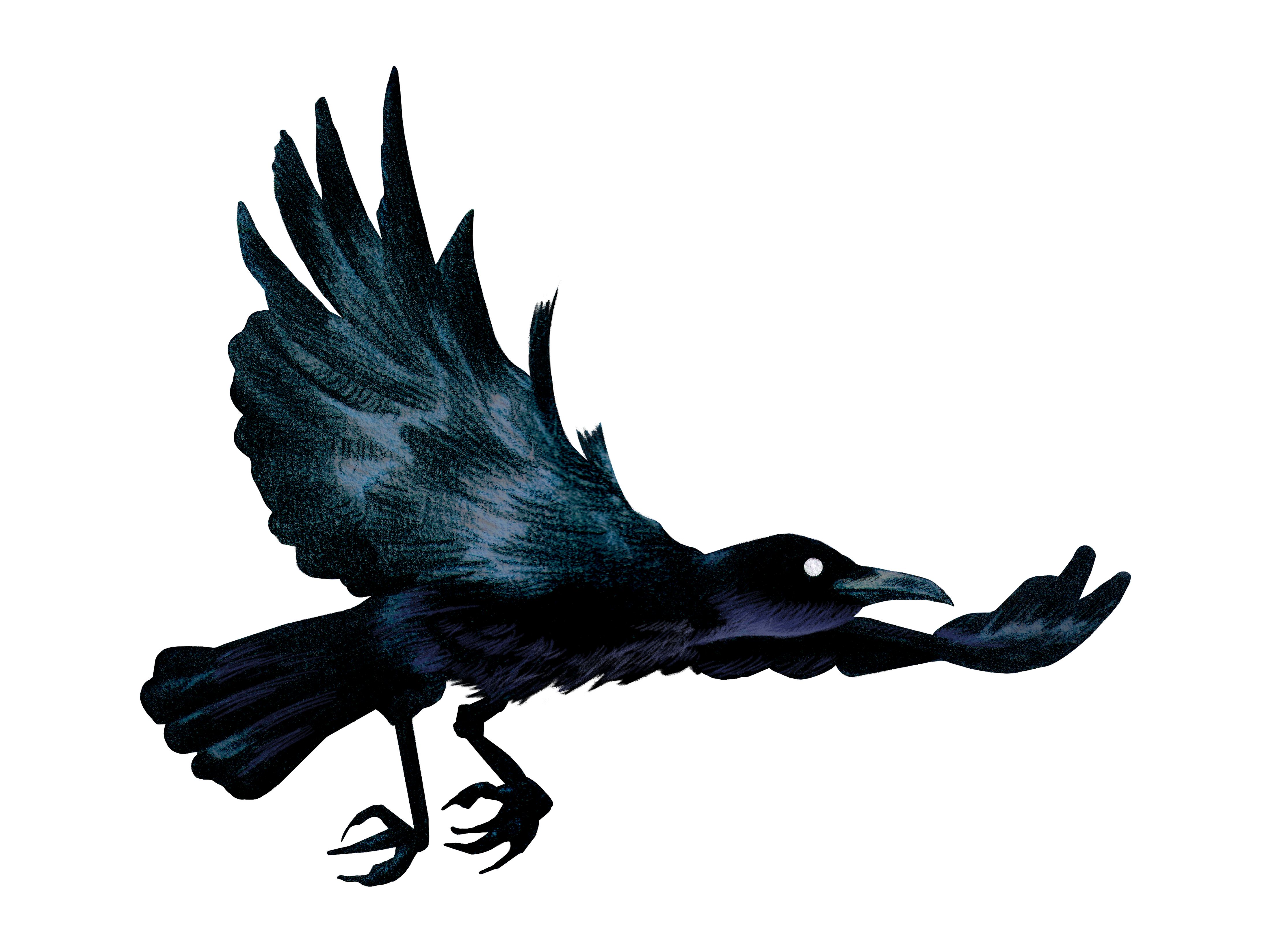 logo_crow
